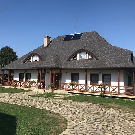Casa Strabunicului Hotel Partestii de Sus  Eksteriør billede